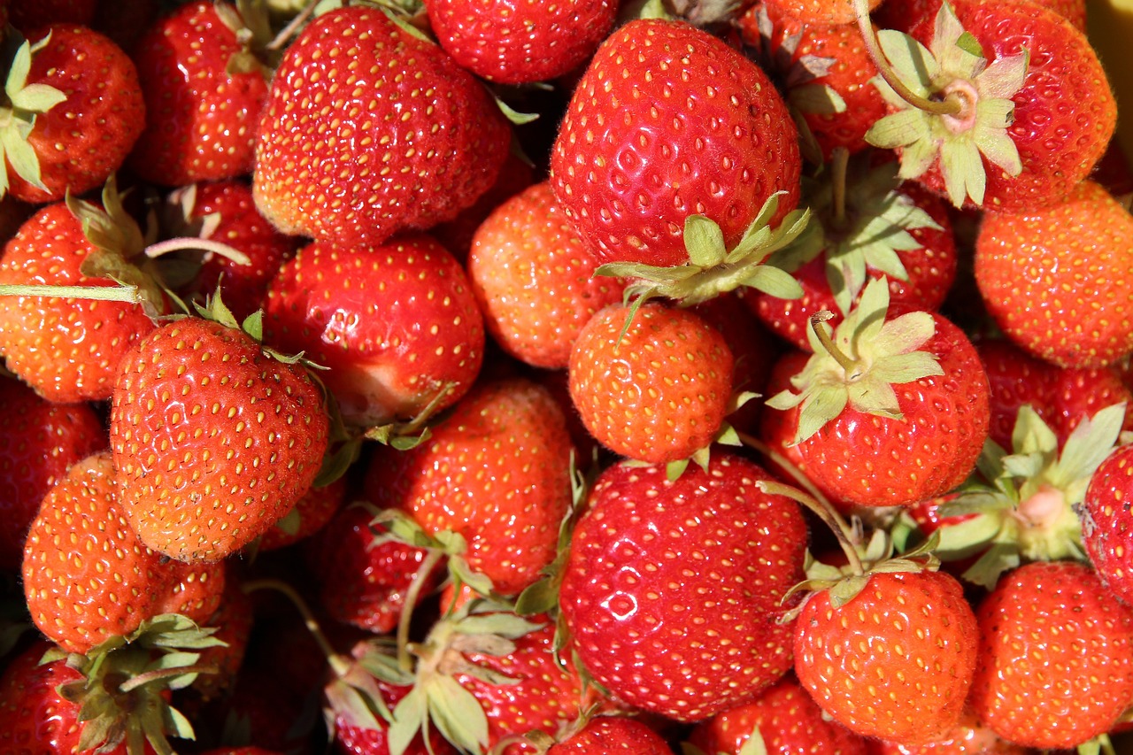 strawberry, berries, red, sweet, vitamins, fresh, summer, ripe, plant, nature, vegetarianism, vegan, harvest